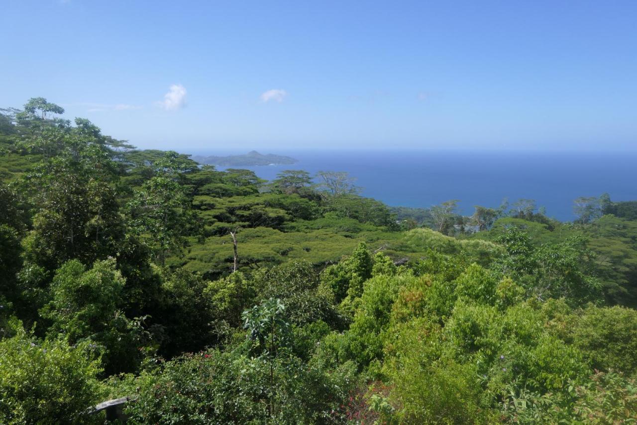 Вілла Tropical Garden Self Catering Вікторія Екстер'єр фото