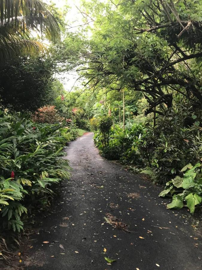 Вілла Tropical Garden Self Catering Вікторія Екстер'єр фото