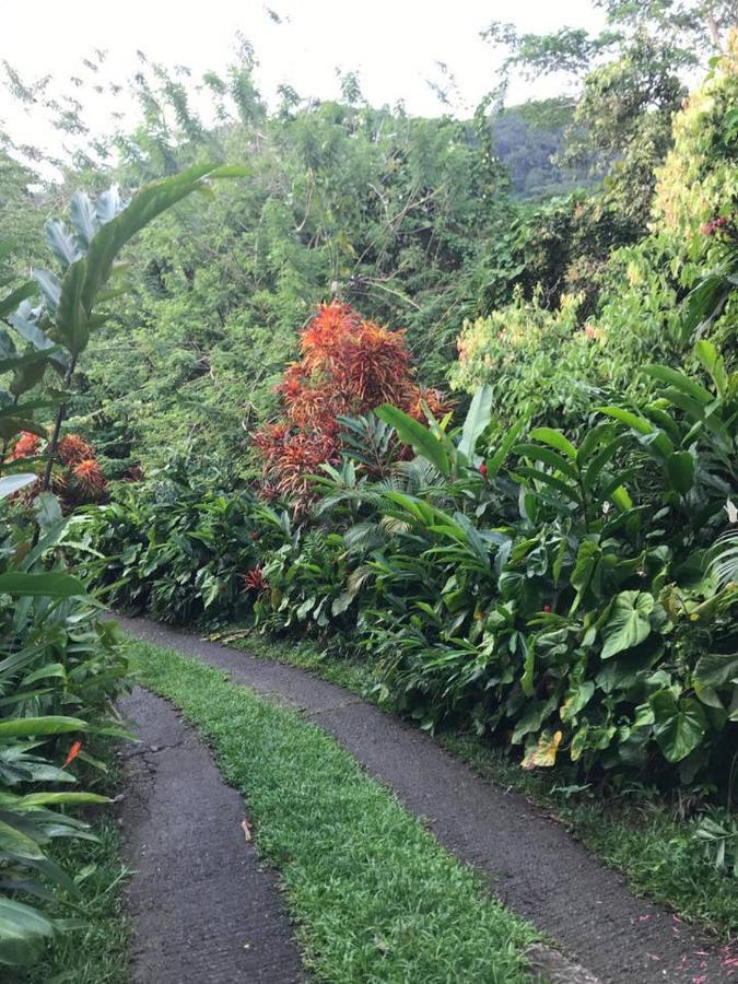 Вілла Tropical Garden Self Catering Вікторія Екстер'єр фото