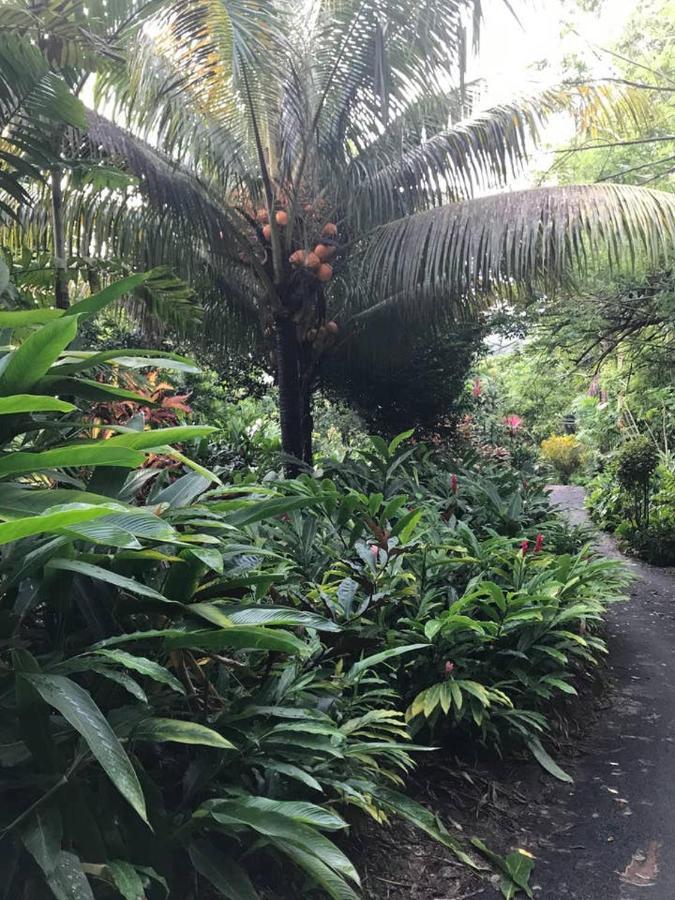 Вілла Tropical Garden Self Catering Вікторія Екстер'єр фото